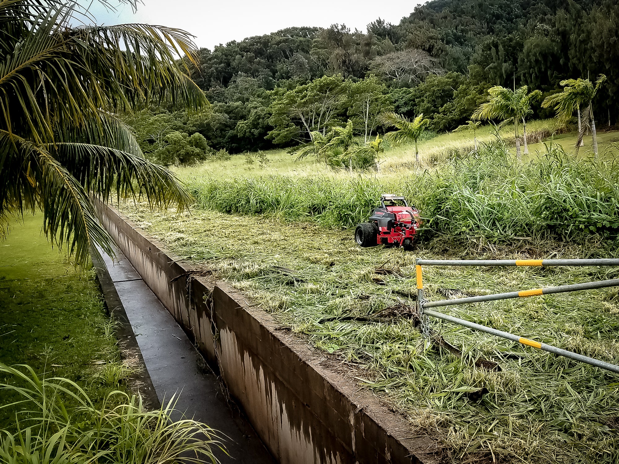 remote-operated slope mower, remote control slope mower in hawaii