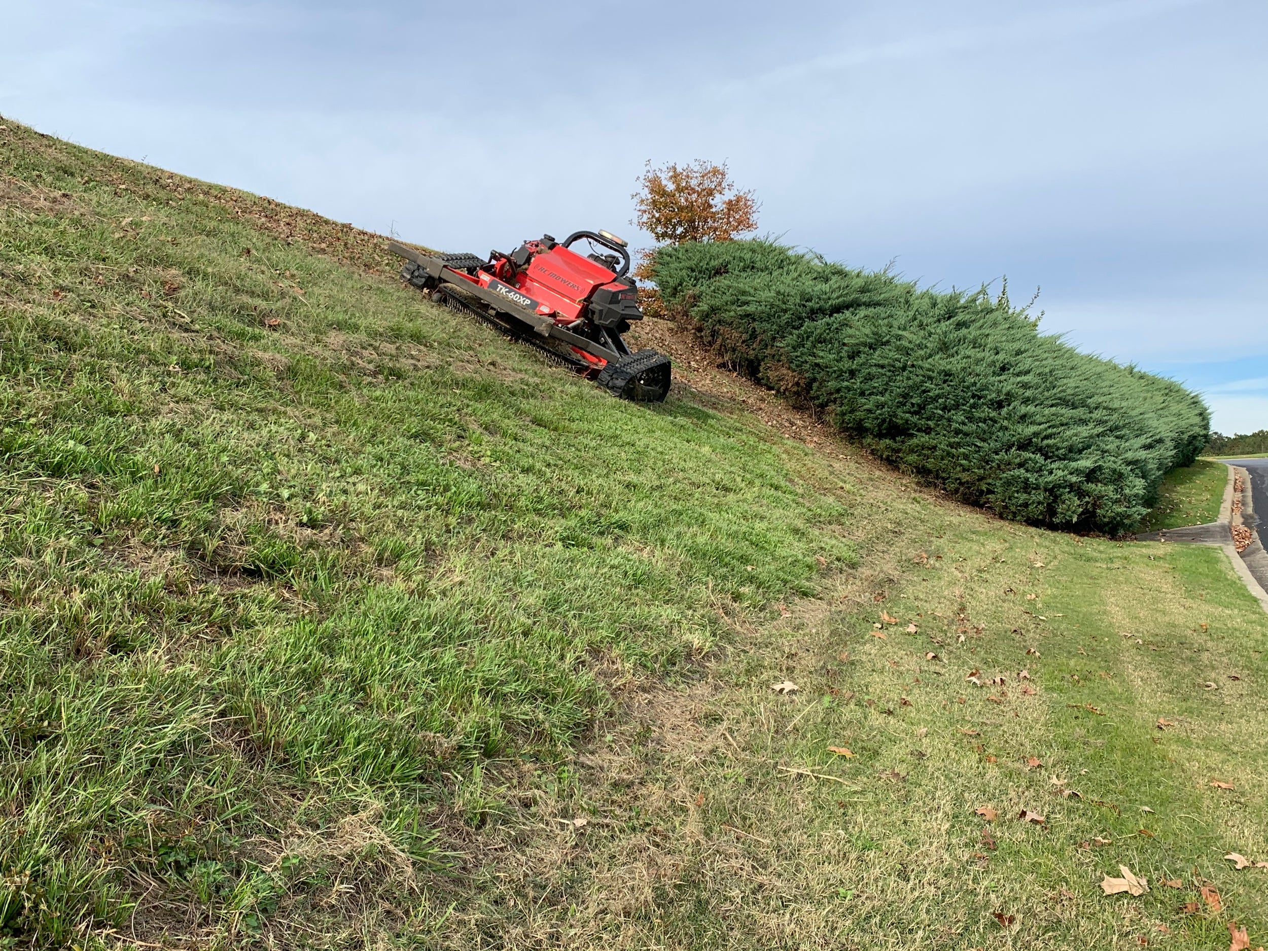 bank mowing