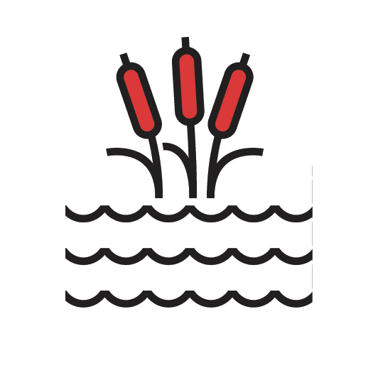 RCM_Iconography-Wetlands-Swamps_2